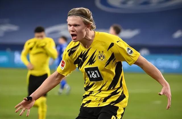 定性的运动 定性的运动